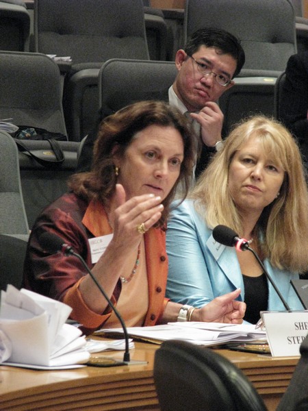 Sherry Stephenson, Organization of American States (OAS) 20110602_ServicesTrade_HongKong_SherryStephenson
